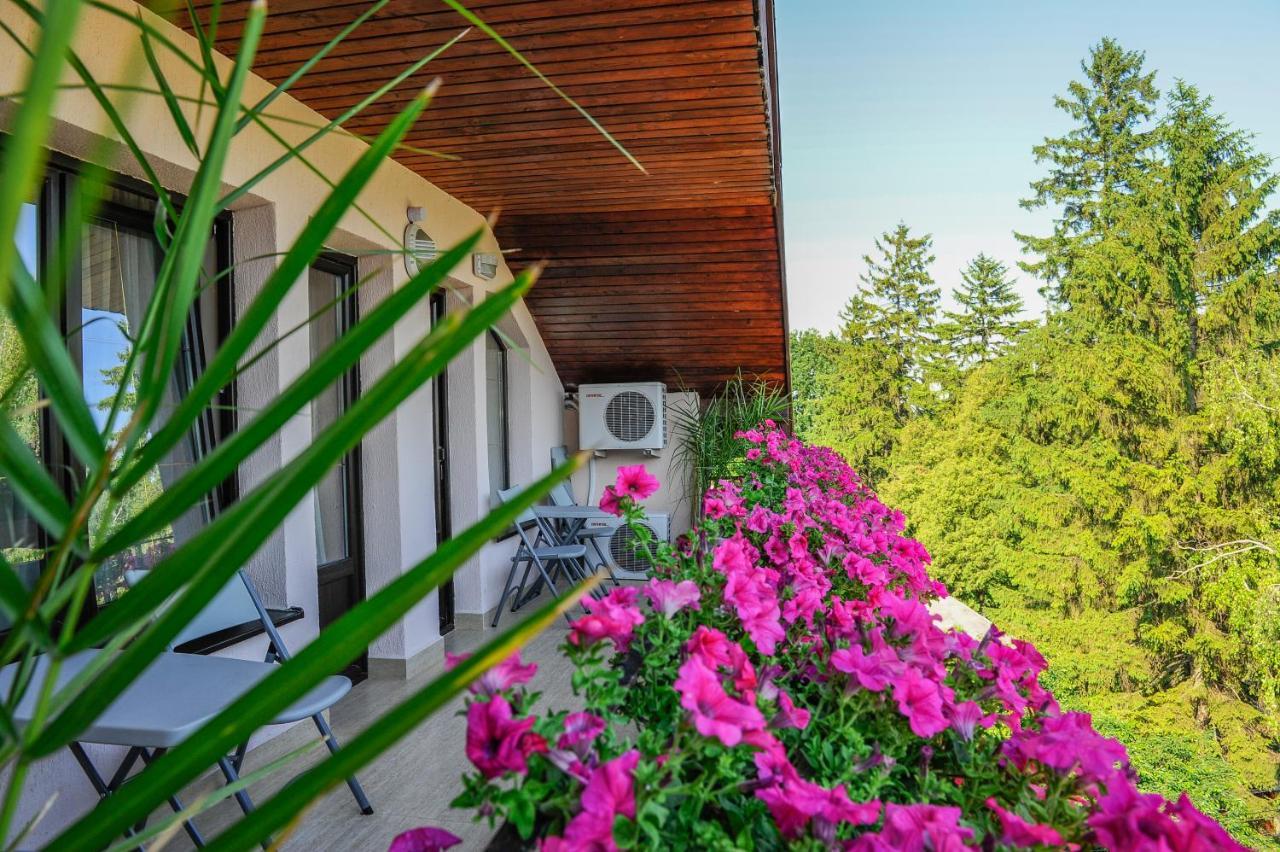 Villa Alice 수체아바 외부 사진